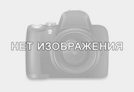ответы на вопросы по биологии 7класс по учебнику в в латюшина